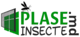 Plaseinsecte